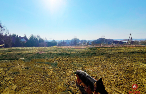 Królewskie Wzgórza, 3 km od Białegostoku.