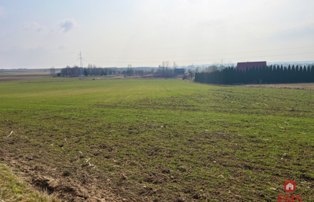 Królewskie Wzgórza, 3 km od Białegostoku.