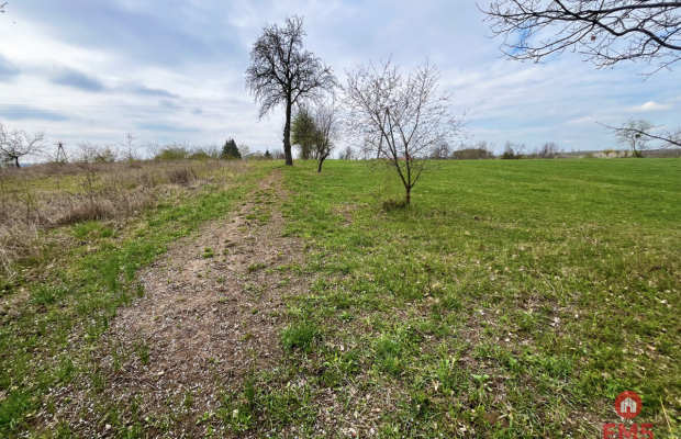 Królewskie Wzgórza, 3 km od Białegostoku.