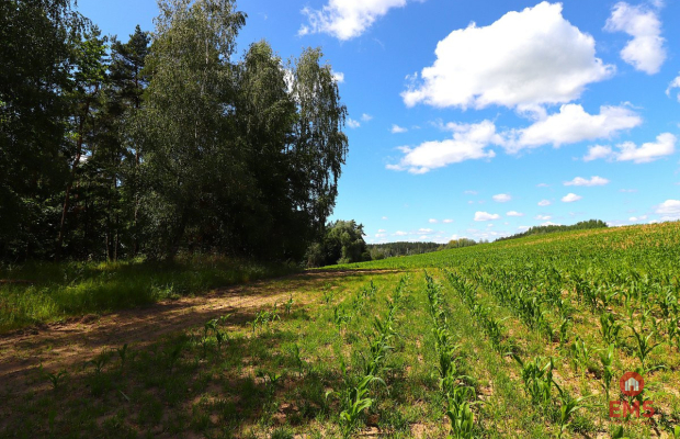 Działka budowlana na Mazurach Rożyńsk Wielki