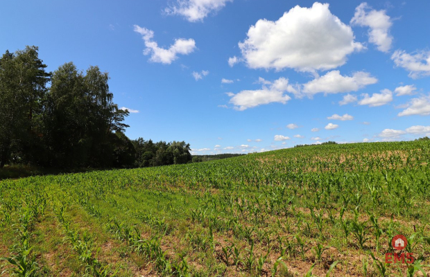 Działka budowlana na Mazurach Rożyńsk Wielki