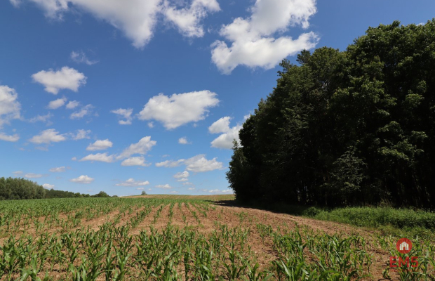 Działka budowlana na Mazurach Rożyńsk Wielki