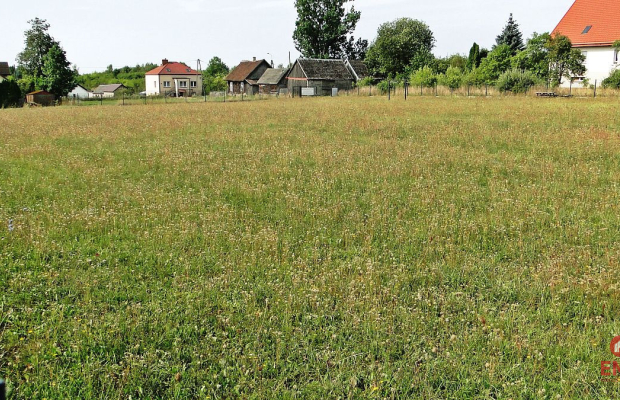 Działka rolno-budowlana 4000 m2, Letniki