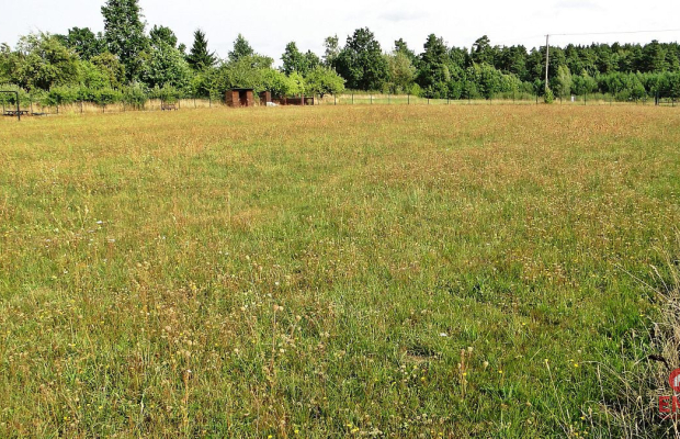 Działka rolno-budowlana 4000 m2, Letniki
