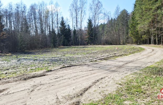 Działka blisko lasu w Solniczkach. 1109 m2