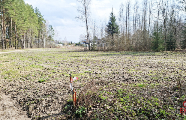 Działka blisko lasu w Solniczkach. 1109 m2