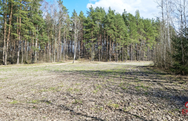 Działka blisko lasu w Solniczkach. 1109 m2