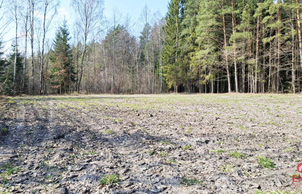 Działka blisko lasu w Solniczkach. 1109 m2