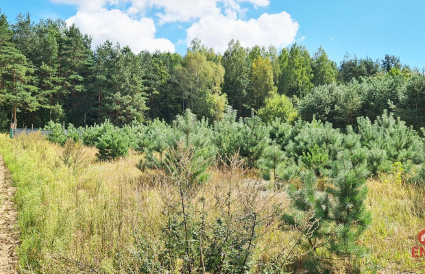 Działka budowlana 1047 m2, Wólka Poduchowna