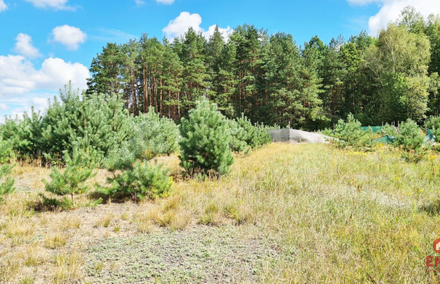 Działka budowlana 1047 m2, Wólka Poduchowna