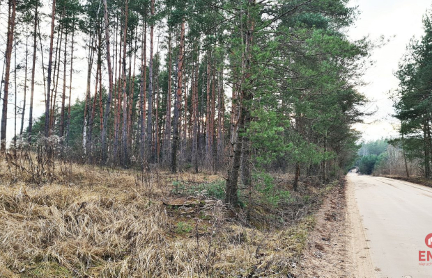 Działka 8500 m2, Jurowce