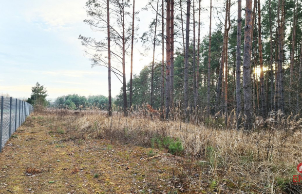 Działka 8500 m2, Jurowce