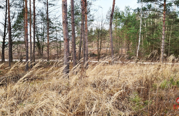 Działka 8500 m2, Jurowce