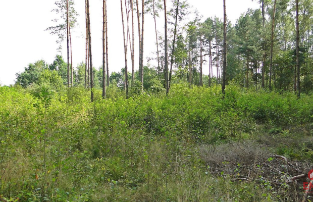 Budowlano - rolna 1,04 ha. Pod miastem