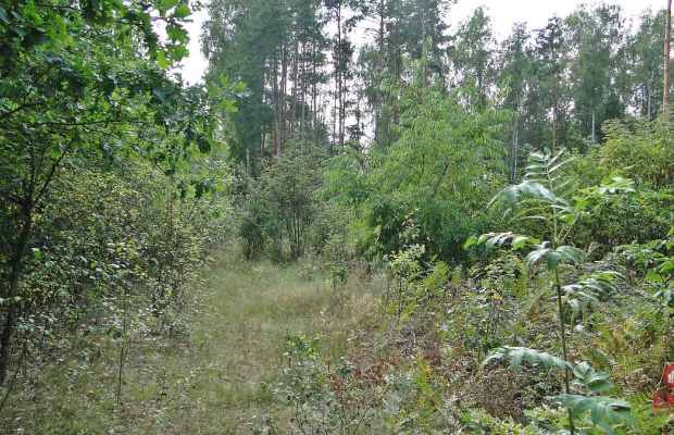 Budowlano - rolna 1,04 ha. Pod miastem