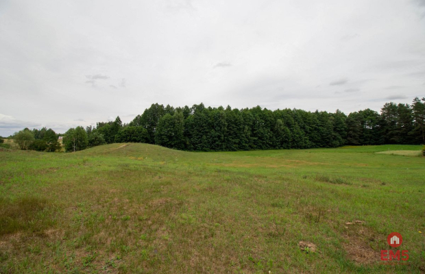 Wyjątkowa działka otoczona lasem
