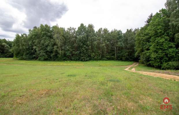 Wyjątkowa działka otoczona lasem