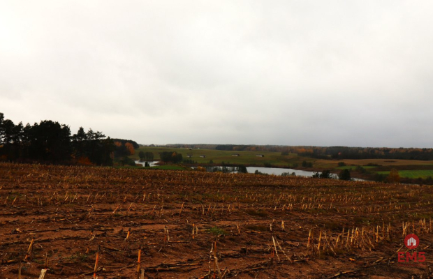Działka rolno-budowlana - Żegary, gm. Sejny