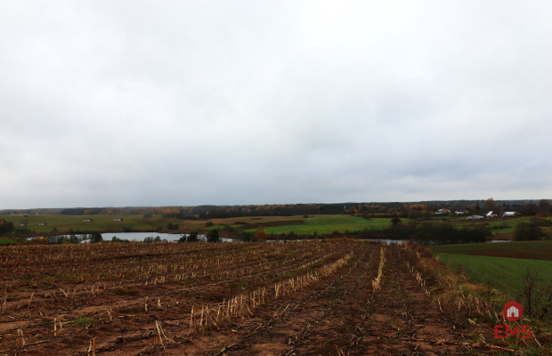 Działka rolno-budowlana - Żegary, gm. Sejny