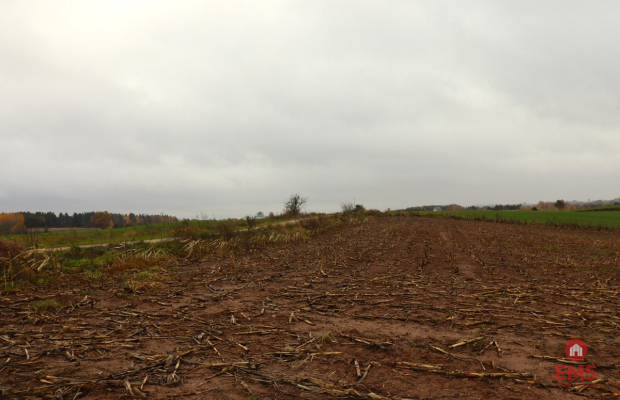 Działka rolno-budowlana - Żegary, gm. Sejny