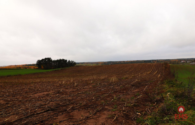 Działka rolno-budowlana - Żegary, gm. Sejny