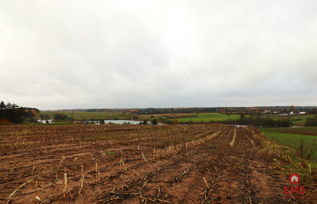 Działka rolno-budowlana - Żegary, gm. Sejny