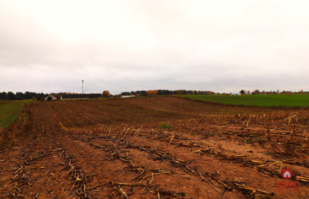 Działka rolno-budowlana - Żegary, gm. Sejny