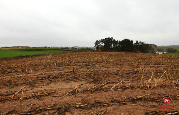 Działka rolno-budowlana - Żegary, gm. Sejny