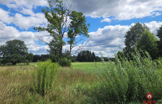 Działka budowlana wśród zieleni.