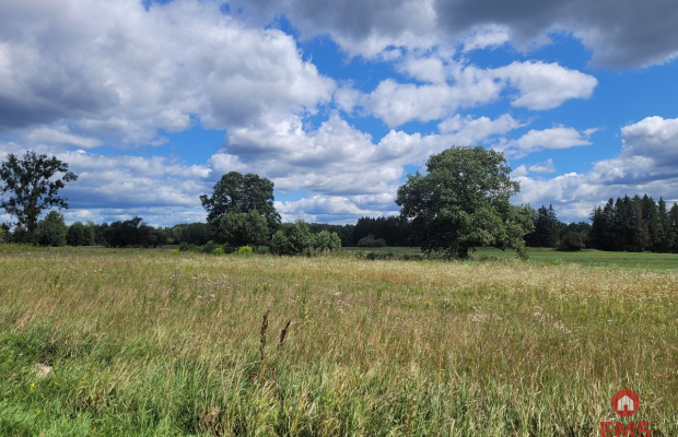 Działka budowlana wśród zieleni.