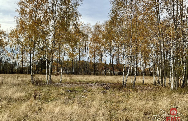 Sobolewo zaciszna  działka obok miasta.