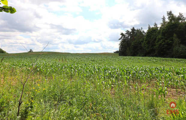 Działka budowlana na Mazurach Rożyńsk Wielki