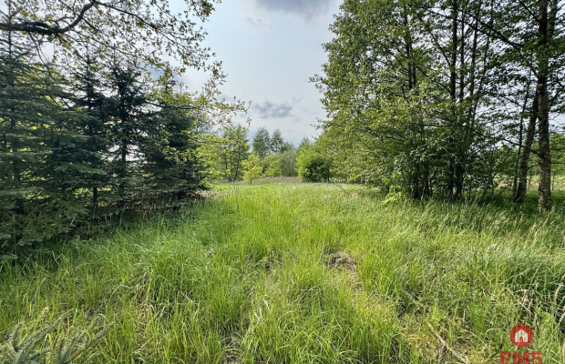 Działka w  Kosmatym Borku