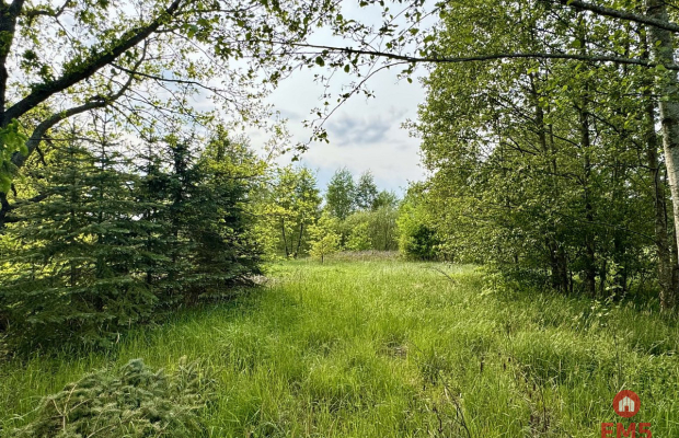 Działka w  Kosmatym Borku