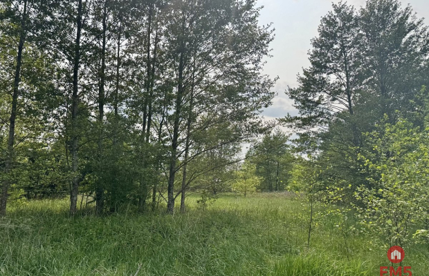 Działka w  Kosmatym Borku