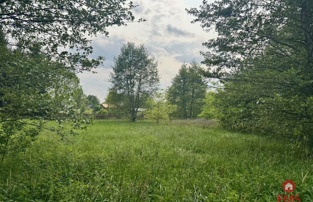 Działka w  Kosmatym Borku