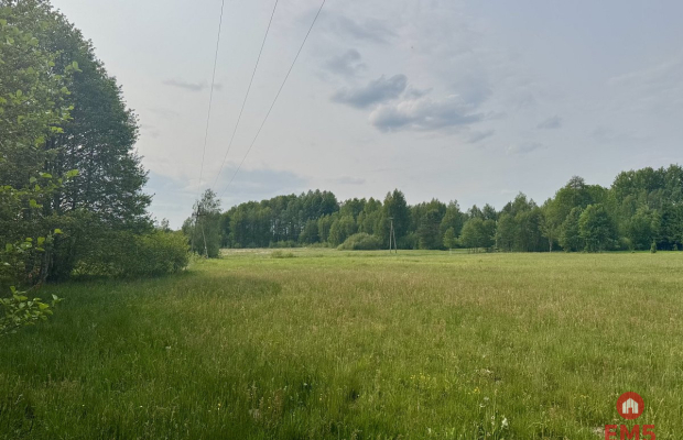 Działka w  Kosmatym Borku