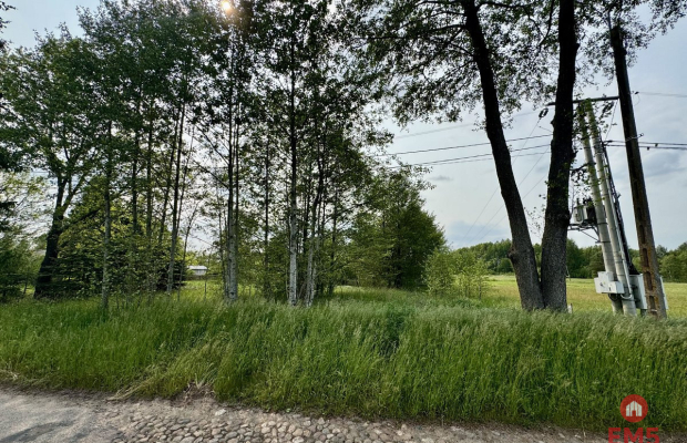 Działka w  Kosmatym Borku