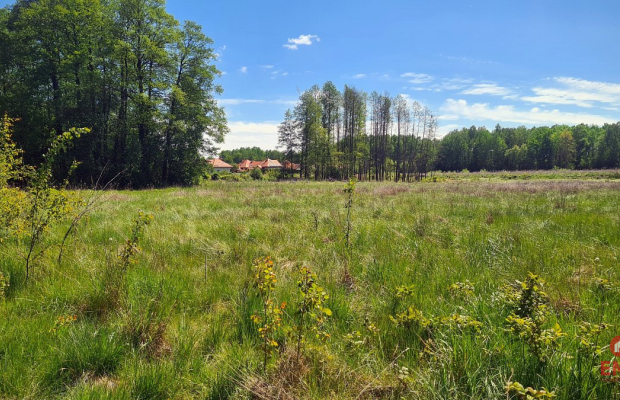 Zaścianki, działka deweloperska