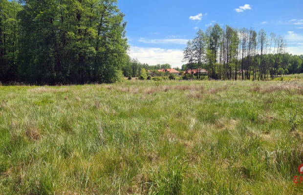 Zaścianki, działka deweloperska