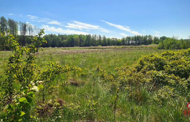 Zaścianki, działka deweloperska