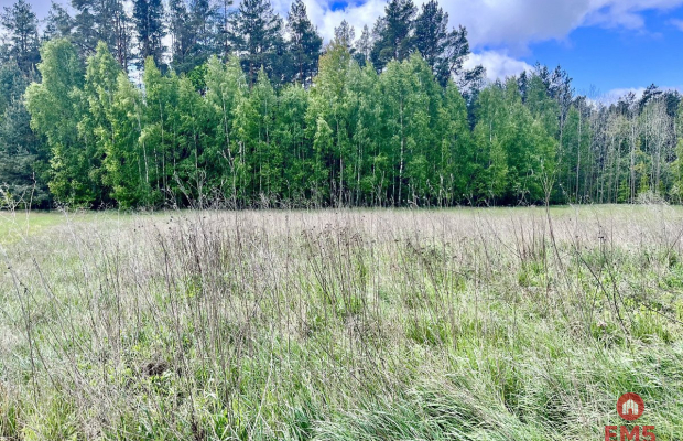 Działka budowlana blisko Sobolewa.