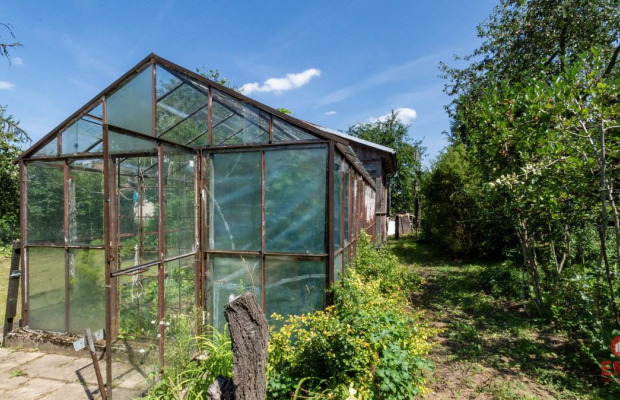 Ogródek działkowy Mickiewicza