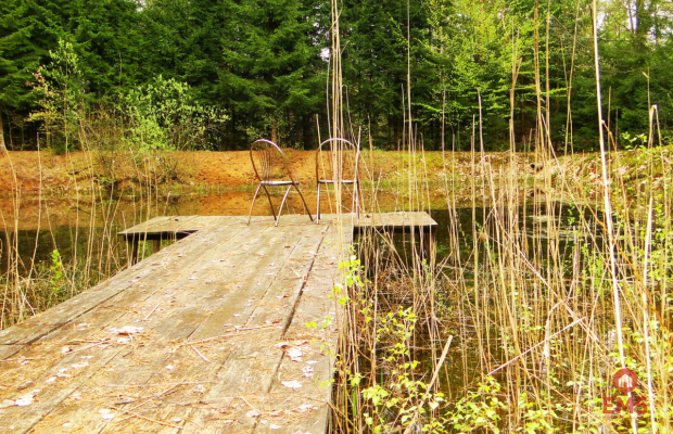 Działka rekreacyjno-budowlana 0,8 ha, pod miastem