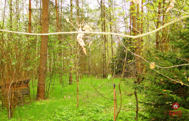 Działka rekreacyjno-budowlana 0,8 ha, pod miastem