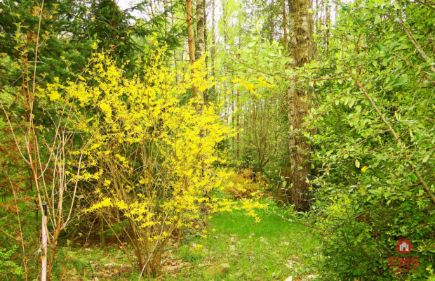 Działka rekreacyjno-budowlana 0,8 ha, pod miastem