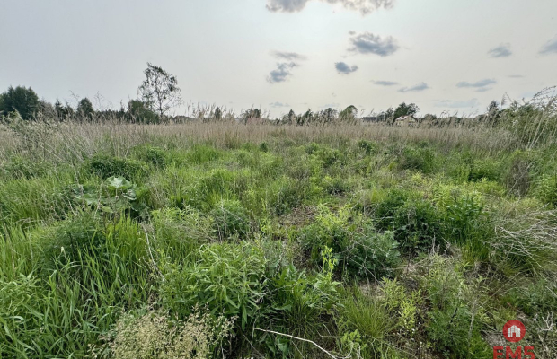 Działka w Nowodworcach