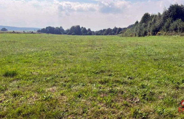 Działka rolno-budowlana 2533 m2, Studzianki