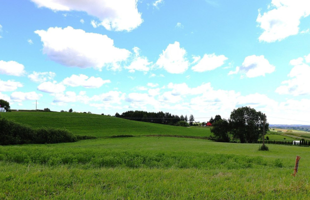 Działka rolno budowlana gmina Rutka-Tartak