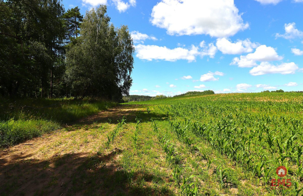 Działka budowlana na Mazurach Rożyńsk Wielki